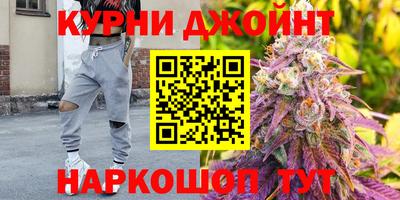 стаф Тула